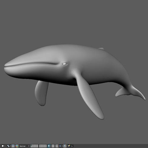 Blue Whale  preview image